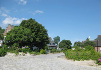 Am Kai  &copy; Frank Horn