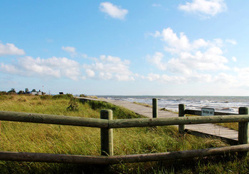 Dünensteg  &copy; Frank Horn