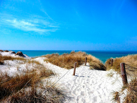 Ferienwohnung in Pruchten - Kleine M&ouml;we - Bild 2