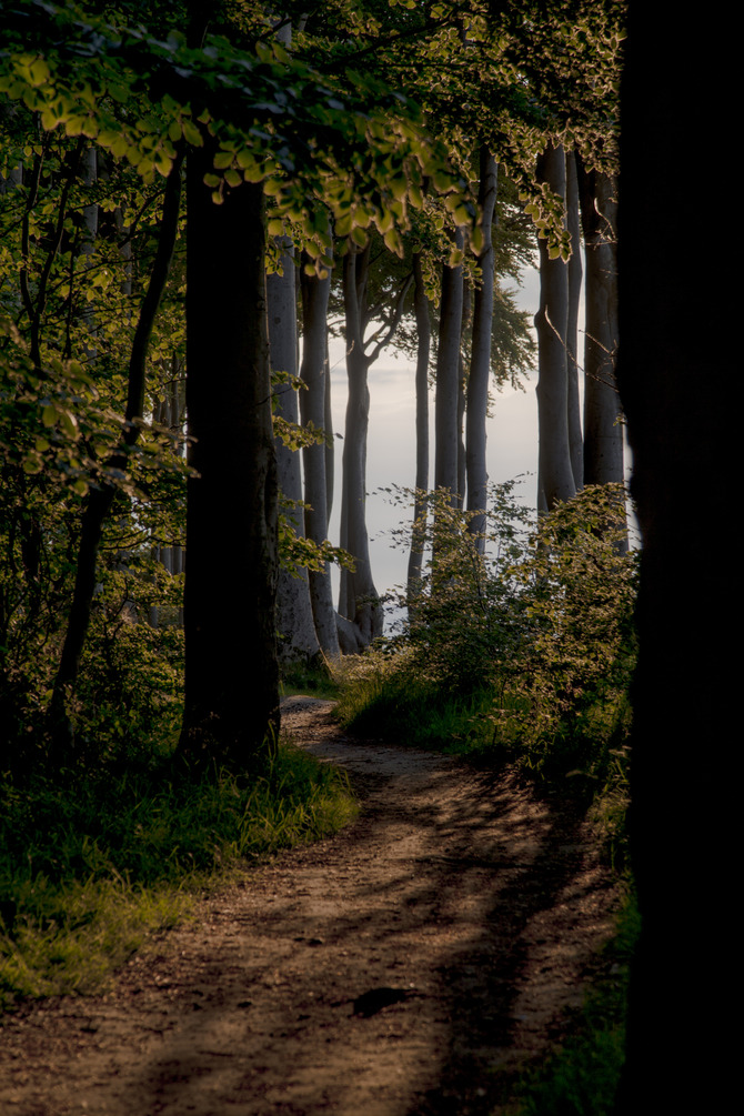 Ferienhaus in Carinerland - Kreativscheune Garvensdorf - Bild 21