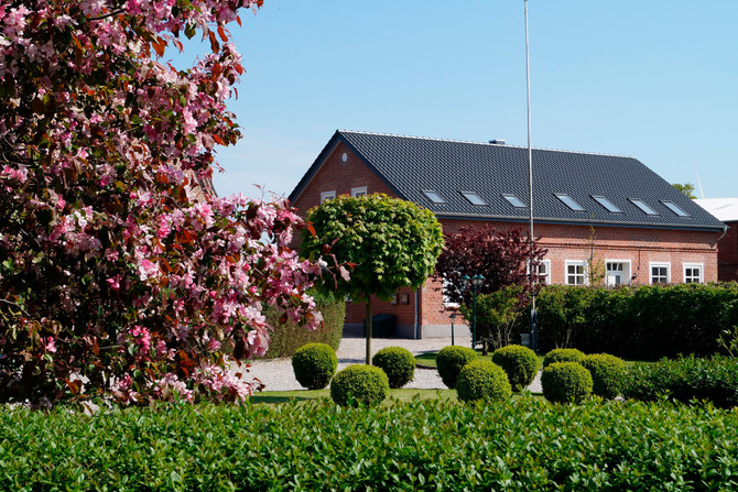 Ferienwohnung in Fehmarn OT Westermarkelsdorf - Ostseehaus Fehmarn Kormoran - Bild 11