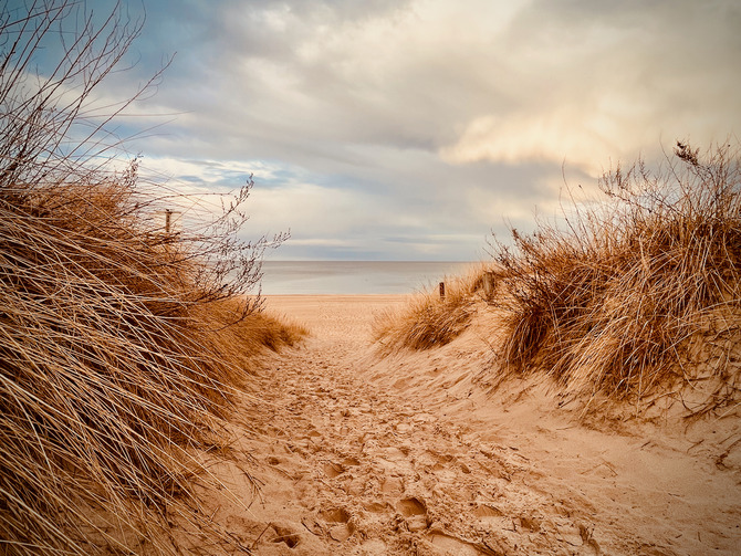 Ferienwohnung in Trassenheide - Strandidyl im K&uuml;stenwald - Strandabgang