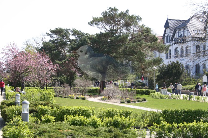 Ferienwohnung in Zinnowitz - D&uuml;nenstra&szlig;e Skibbe - Strandpromenade im Fr&uuml;hjahr