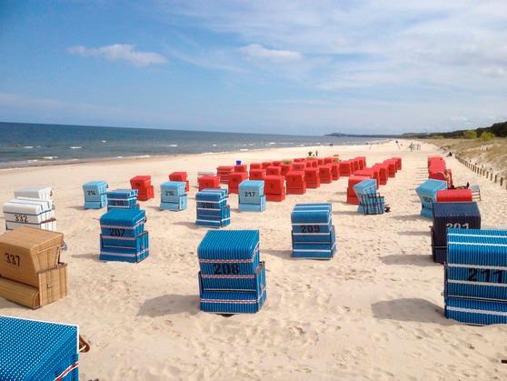Ferienwohnung in Trassenheide - Strandidyll am K&uuml;stenwald - Bild 10