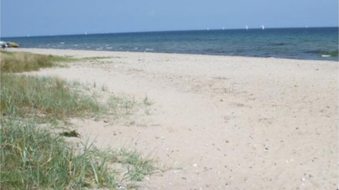 Ferienwohnung in Sch&ouml;nhagen - Prigge - Herrlicher Strand