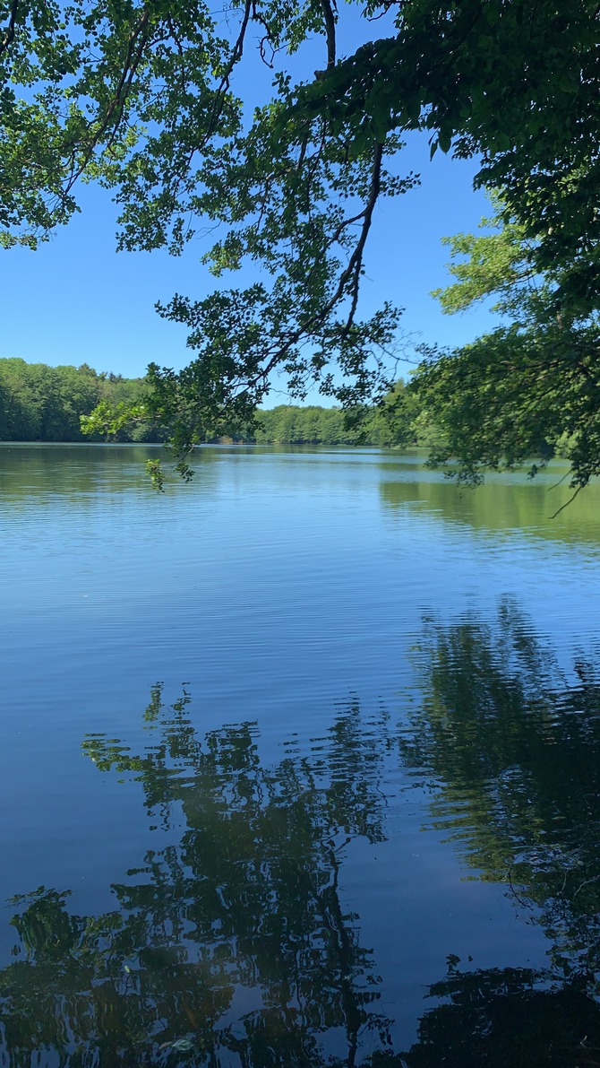 Ferienwohnung in Lassan - Haus Achterwasserm&uuml;cke - Bild 13