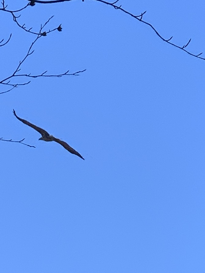 Ferienwohnung in Lassan - Haus Achterwasserm&uuml;cke - Bild 16