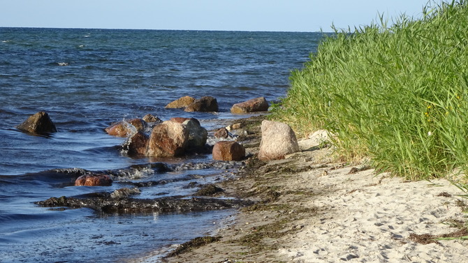 Ferienwohnung in Feldhusen - Diana Sch&ouml;ner Blick - Strand von Rosenhagen