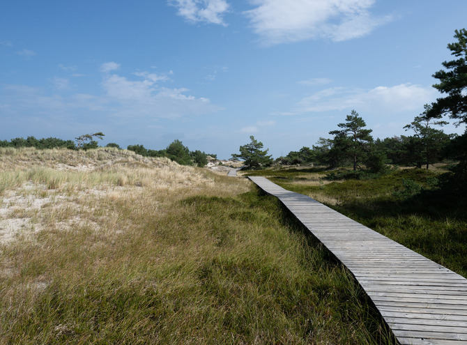 Ferienhaus in Dabitz - Dabitz - Wanderung durch das Naturschutzgebiet