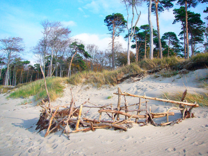 Ferienwohnung in Bresewitz - Landhaus am Bodden - am Strand