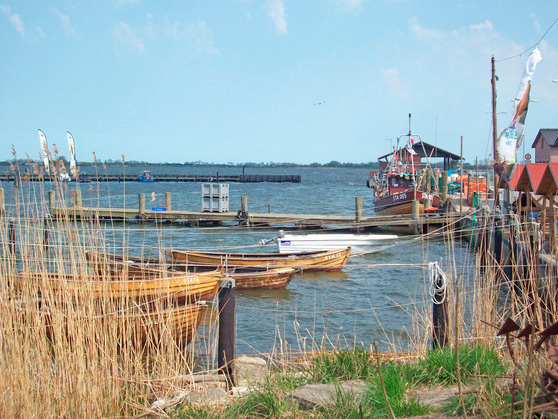 Bungalow in Stahlbrode - Buske - Bild 12