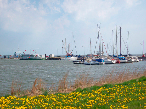 Bungalow in Stahlbrode - Buske - Bild 13