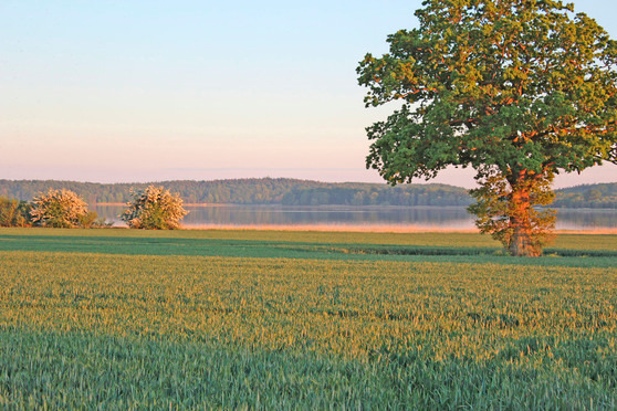 Ferienwohnung in St&ouml;fs - Schwalbennest Ostseeblick - Bild 6