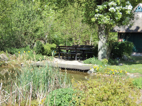 Ferienwohnung in Sch&ouml;nwalde - Reethaus Scheidekate - Bild 7