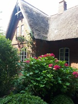 Ferienwohnung in Sch&ouml;nwalde - Reethaus Scheidekate - Bild 17