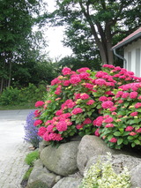 Ferienwohnung in K&auml;gsdorf - Hof Hoogendoorn - Bild 13