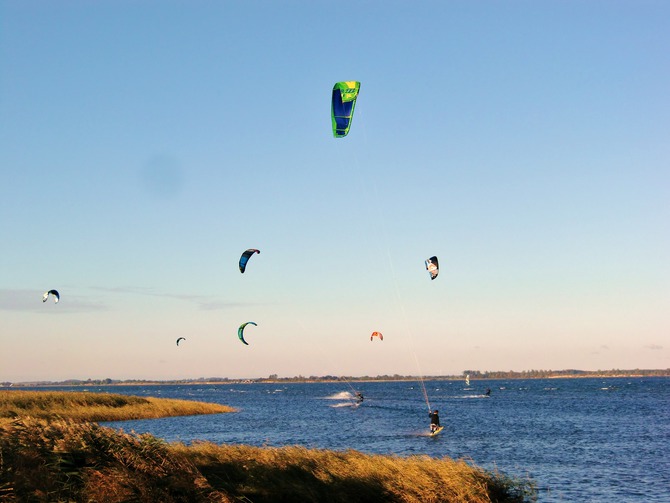 Ferienwohnung in Tremt - Zum Naturstrand - Der Strand ist ein Hotspot f&uuml;r Kitesurfer