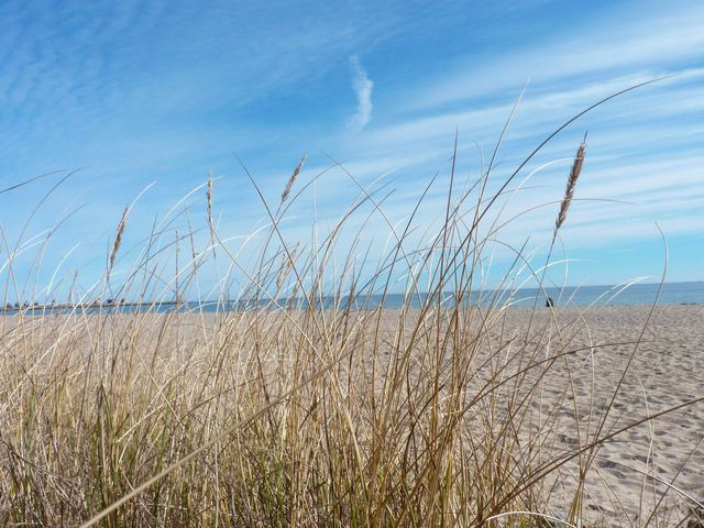 Ferienwohnung in Gr&ouml;dersby - FeWo Seegras - Bild 21