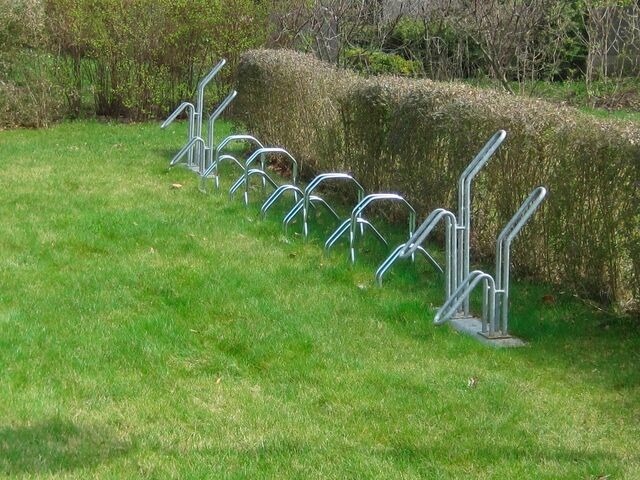 Ferienwohnung in Rerik - Strandl&auml;ufer in der Villa Rosita - Bild 17