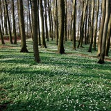 Ferienwohnung in Hagen - Hof Uhleck am K&ouml;nigsstuhl 2 - Bild 7