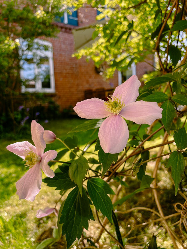 Ferienwohnung in B&uuml;nsdorf - Zeitweise - Bild 25