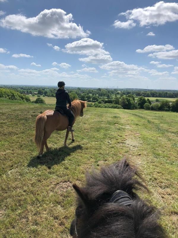 Ferienwohnung in B&uuml;nsdorf - Seestern - Bild 21