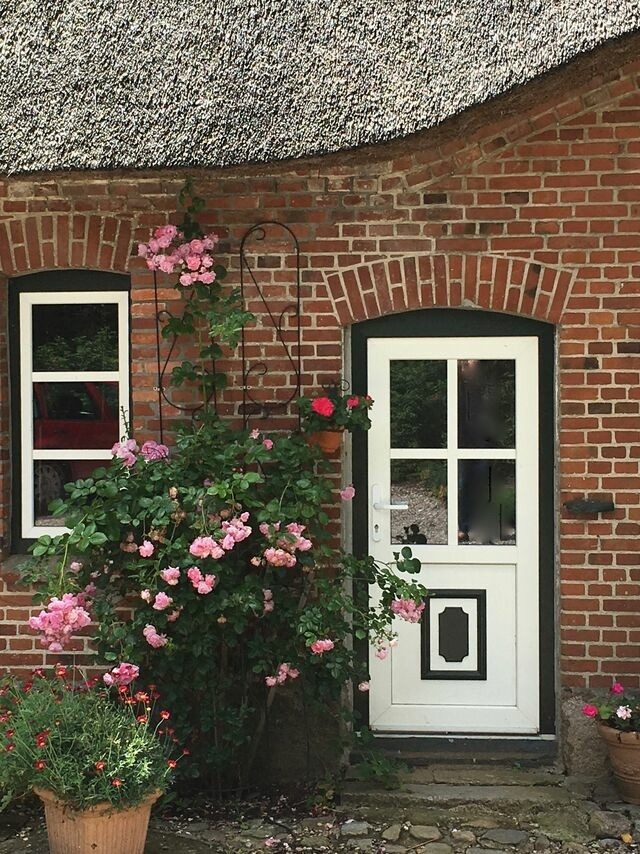 Ferienwohnung in Gro&szlig; Wittensee - Hoheluft am Wittensee Apt. 1 - Bild 18