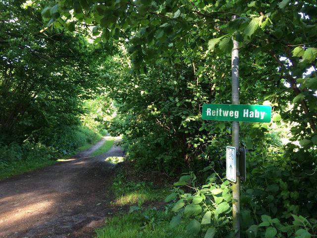 Ferienwohnung in Gro&szlig; Wittensee - Hoheluft am Wittensee Apt. 3 - Bild 20