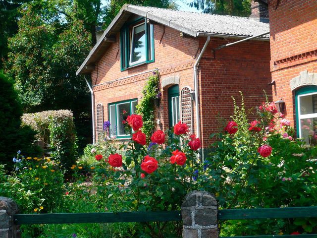 Ferienhaus in B&uuml;nsdorf - Seehof B&uuml;nsdorf - Bild 9