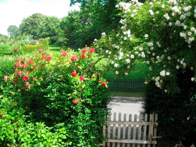 Ferienwohnung in Goosefeld - Pischke-Sarp - Bild 10
