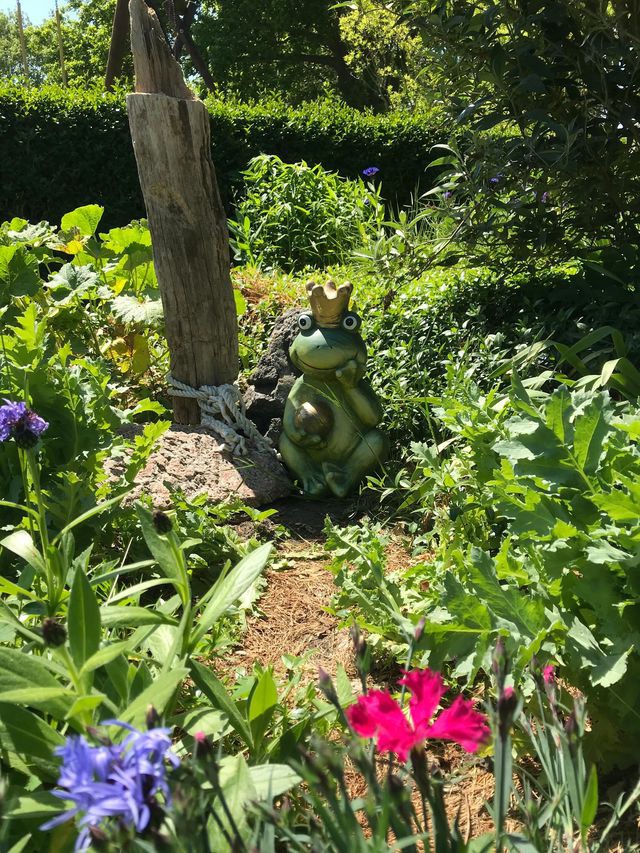 Ferienwohnung in Fehmarn OT Sulsdorf - Bauerhof Kleingarn - Bauernhus 11 - Bild 16