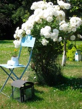 Ferienwohnung in Fehmarn OT Meeschendorf - "Ferienhof Sporleder" - Bauernhaus 2 - Bild 14