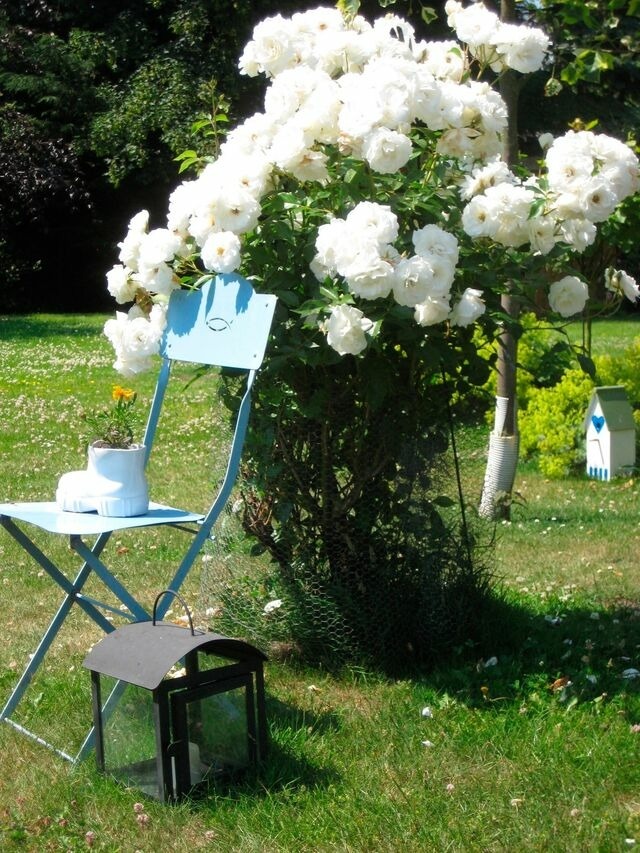 Ferienwohnung in Fehmarn OT Meeschendorf - "Ferienhof Sporleder" - Bauernhaus 2 - Bild 14