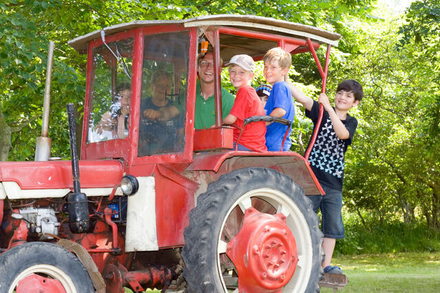 Ferienwohnung in Fehmarn OT Meeschendorf - "Ferienhof Sporleder" - Landhaus Nr.1 - Bild 8