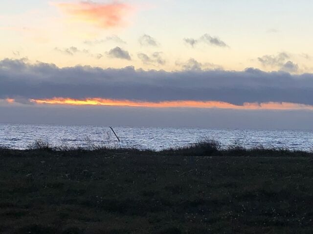 Ferienhaus in Thiessow - Ferienhaus Sch&auml;ferhund - Bild 6