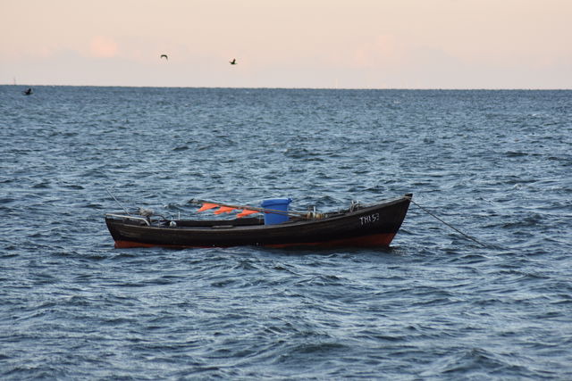 Ferienwohnung in Thiessow - Ferienwohnung Labrador - Bild 21