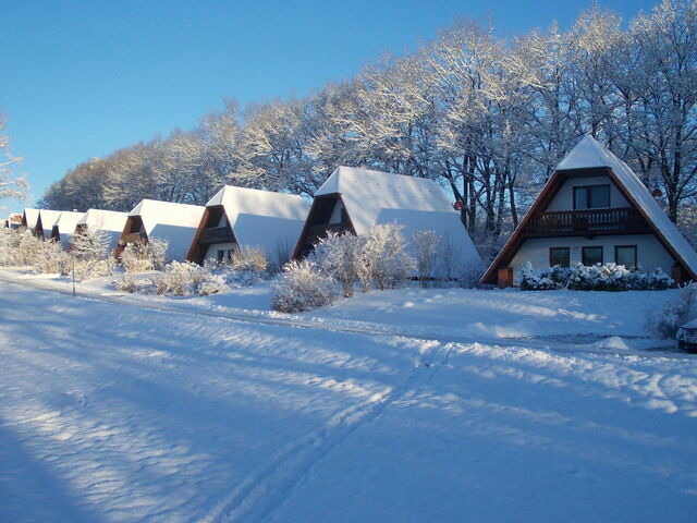 Ferienhaus in Marlow - Finnh&auml;user am Vogelpark - Haus Lisa - Bild 16