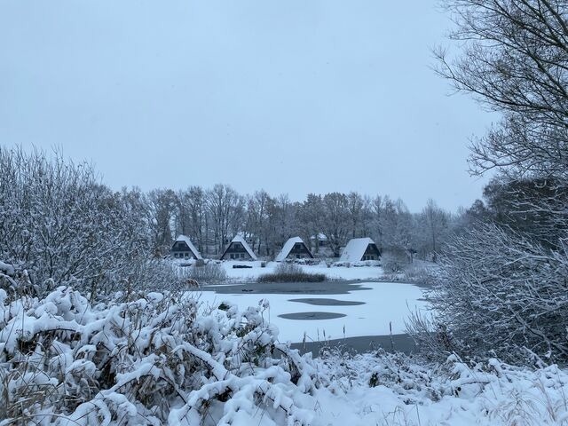Ferienhaus in Marlow - Finnh&auml;user am Vogelpark - Haus Anke - Bild 13