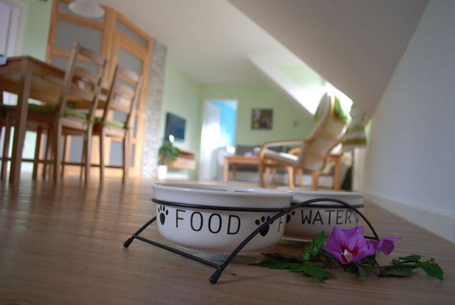 Ferienwohnung in Gammelby - Ferienwohnung L&uuml;tt Gammelby - Bild 9