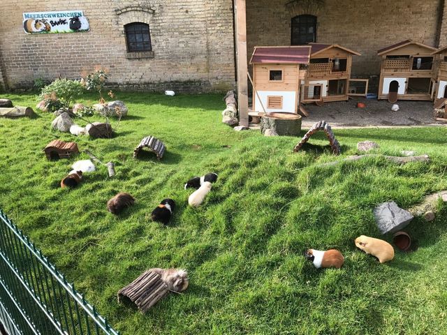 Ferienhaus in Fehmarn OT Staberdorf - Reetdachkate, inkl. 2 Parkpl&auml;tze - Bild 21