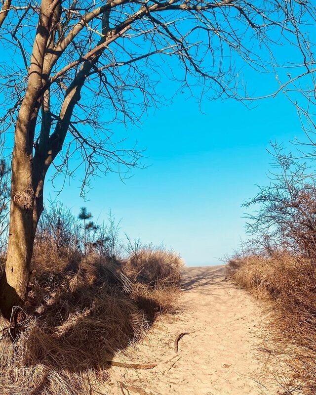 Ferienhaus in &Uuml;ckeritz - D&uuml;nenblick 3 - Bild 21