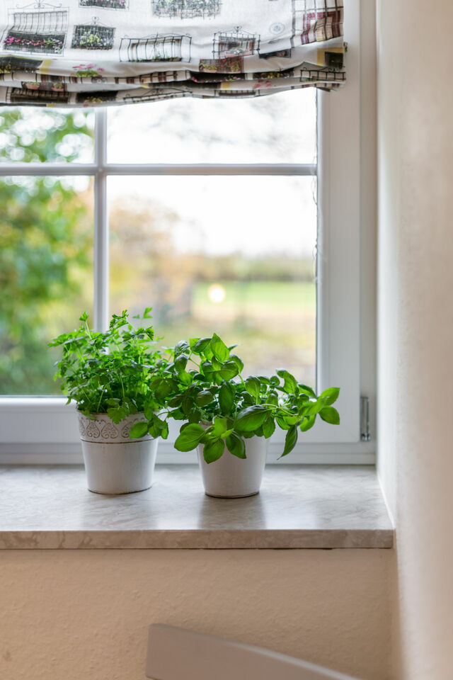Ferienwohnung in Fehmarn OT Wenkendorf - Ferienhof Marquardt Fewo Sonneneck - Bild 12