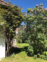 Ferienhaus in Hohwacht - Witt H&uuml;s - Bild 19