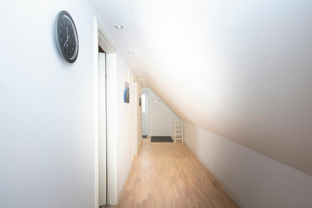 Ferienwohnung in Rabenkirchen-Faul&uuml;ck - Schleitraum Appartement - Bild 3