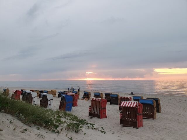 Ferienwohnung in Ribnitz-Damgarten - Auszeit im 'Seepferdchen' am SchilfMeerhof - Bild 24