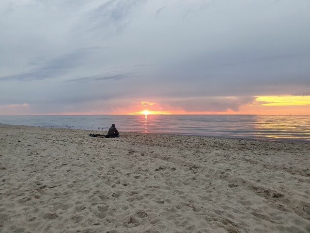 Ferienwohnung in Ribnitz-Damgarten - Auszeit im 'Heuboden' am SchilfMeerhof - Bild 22