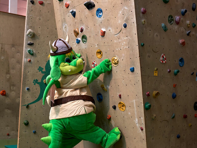 Ferienhaus in Damp - Premiumhaus in Damp der Ostsee - Bild 24