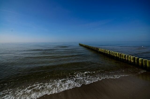 Ferienwohnung in Graal-M&uuml;ritz - Ginster - Bild 20