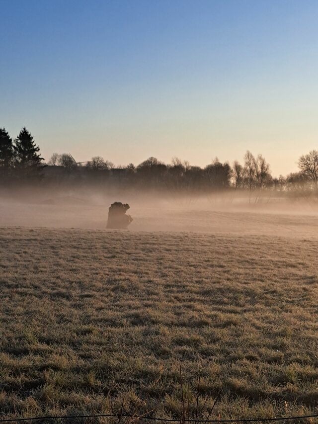 Ferienwohnung in Carinerland - Bauwagen am Rande der Welt - Bild 20
