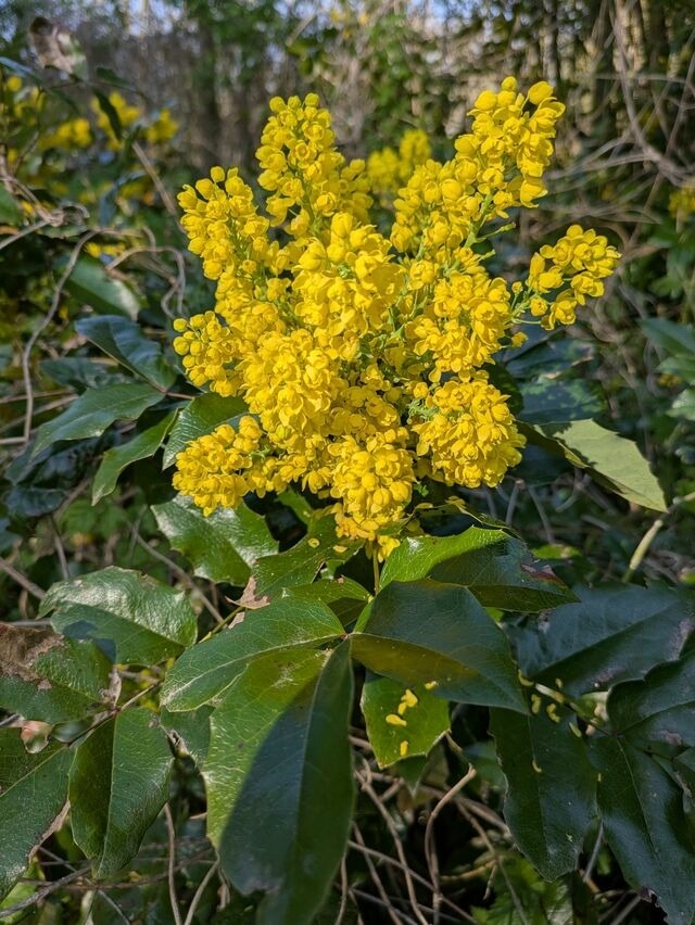 Ferienwohnung in Carinerland - Bauwagen am Rande der Welt - Bild 21